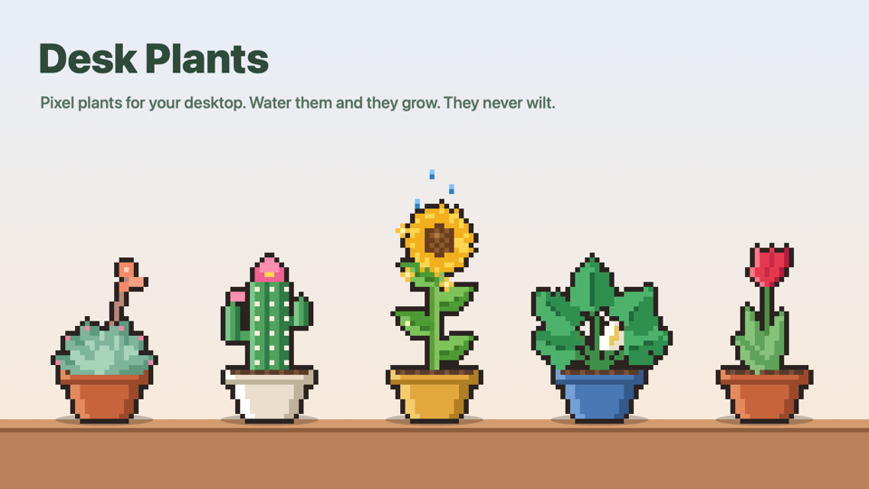 Desk Plants